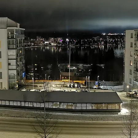 Kolmio Jaervinaekymin, Palokka